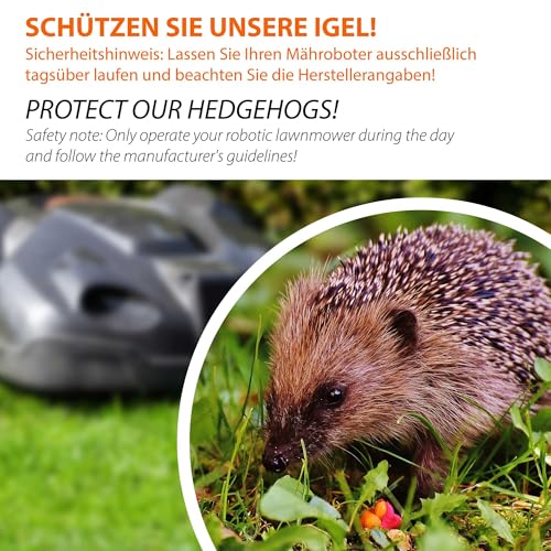 dobar 56194e Mährobotergarage mit abnehmbarem Dach – Fichte – Natur - 4