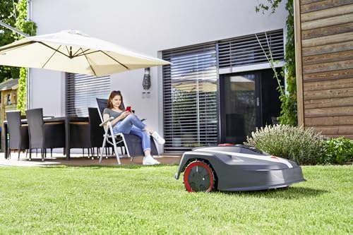 AL-KO Mähroboter Robolinho® 350W, Schnittbreite 20 cm, Li-Ion-Akku 18 V/2,5 Ah, für Flächen bis 300 m², max. Steigfähigkeit 30%, sehr leise 60 dbA - 6